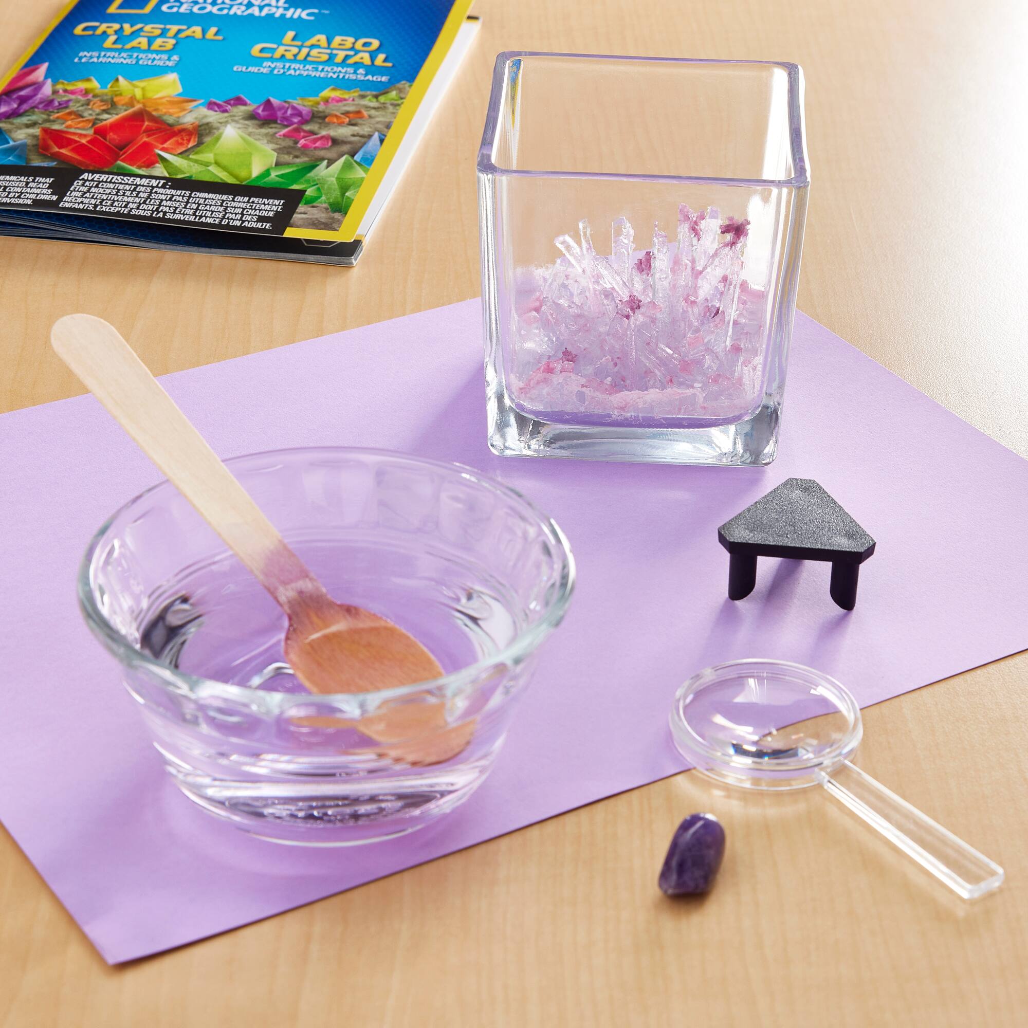 12 Pack: National Geographic™ Purple Crystal Lab